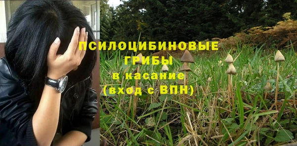 герыч Новокубанск